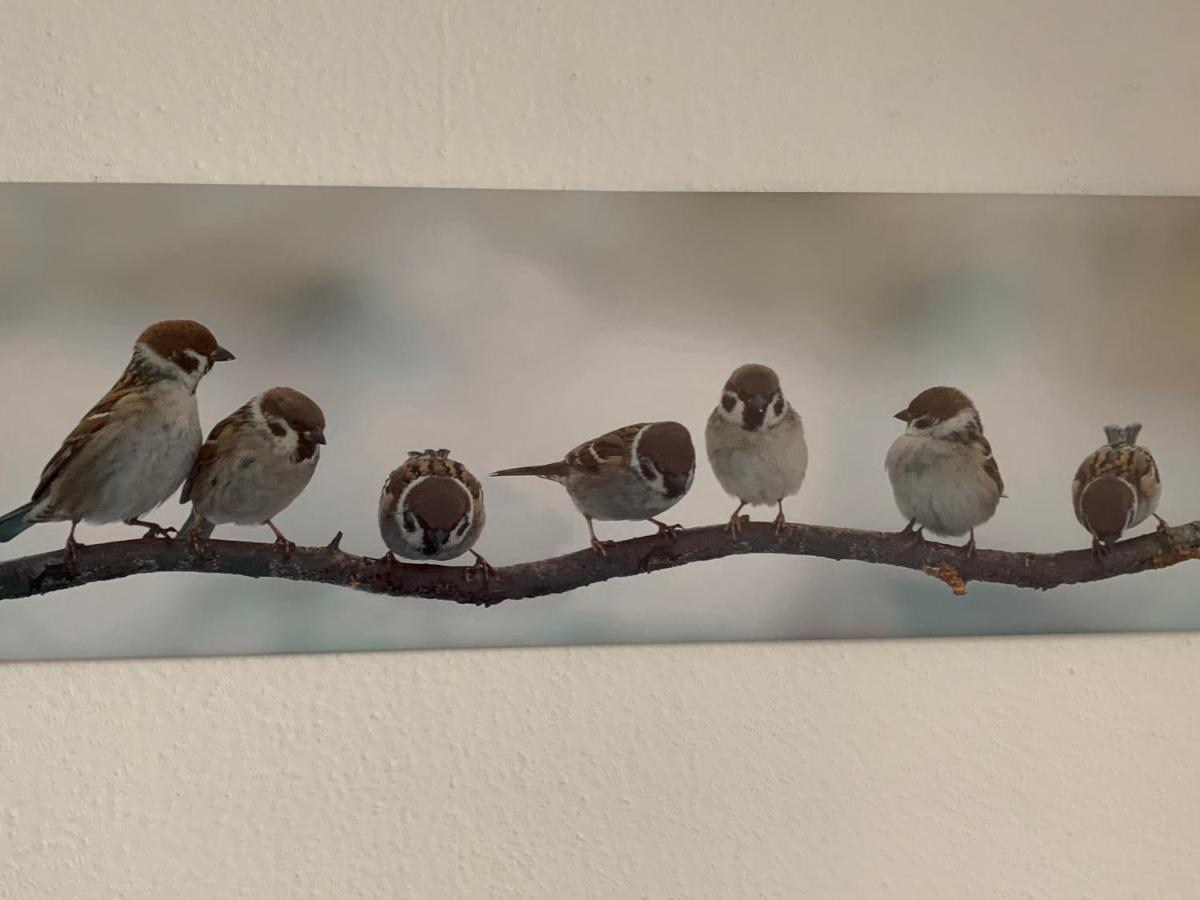 Ferienwohnung Luettje Hoern Emden Exterior foto
